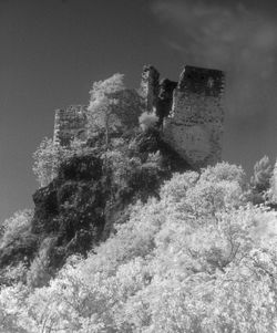 Ruined Beauty - Limited Edition Photographic Art by Christopher Strong